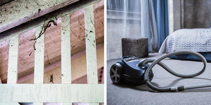 把蜘蛛赶走,把蜘蛛赶走的办法