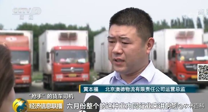 高薪招聘货车司机月入过万,缺个司机月薪50万