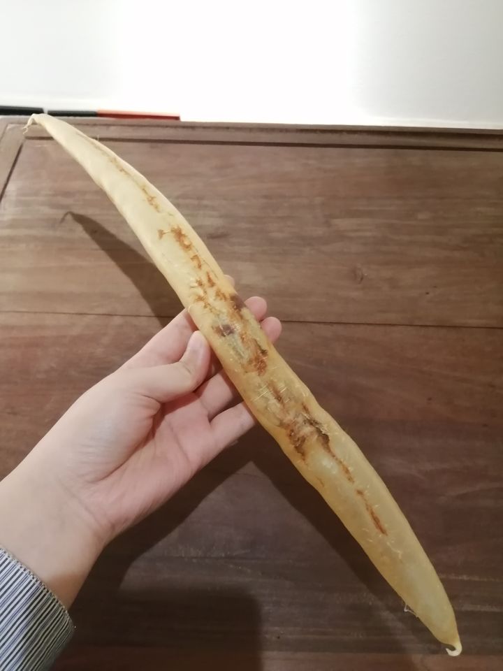 大门楼花胶海参,佛跳墙海参鲍鱼花胶功效