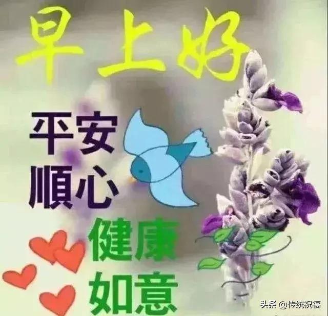 每天问候早上好祝福语短句,早上好祝福问候语大全简短暖心