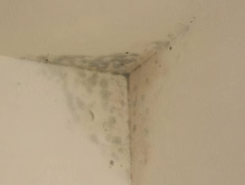 墙面发霉除霉剂,墙面发霉去除生活简单小妙招