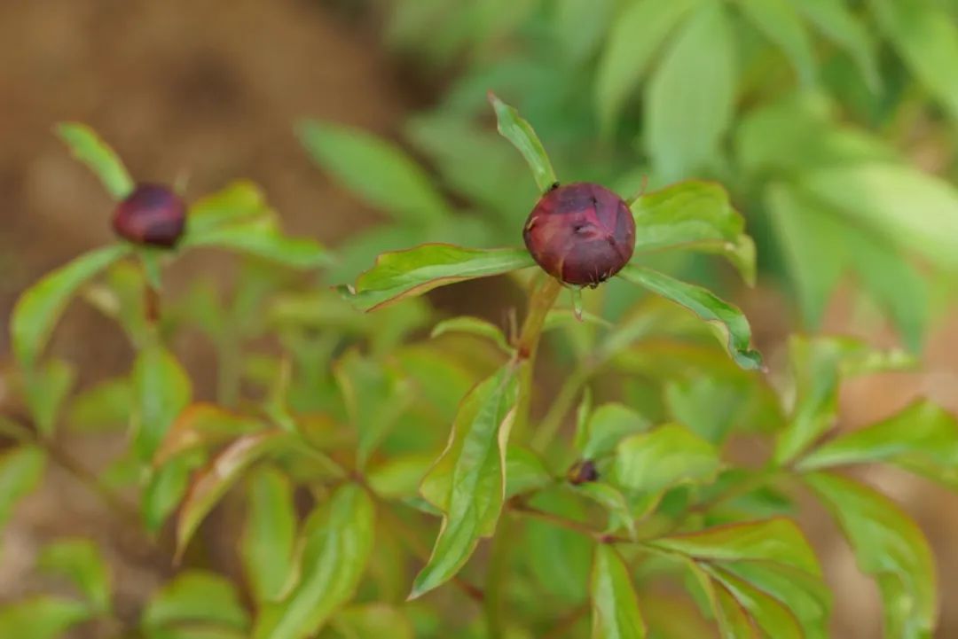 pr大咖教您玩转公关秘籍,如何做pr品牌公关推广