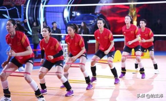 男篮和女排,女排与中国男篮的关系