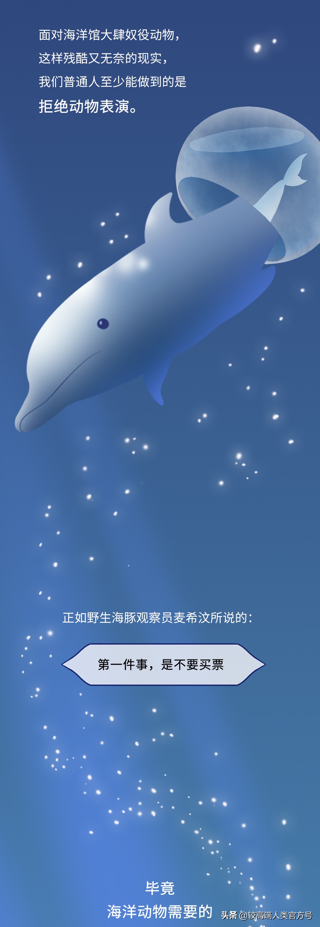 囚禁海豚,海豚表演有多残忍