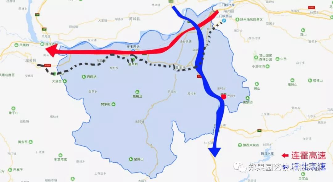 灵宝苹果,灵宝苹果是哪里的