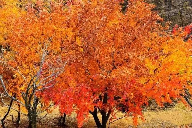 敖包相会的地方,敖包相会的地方通辽