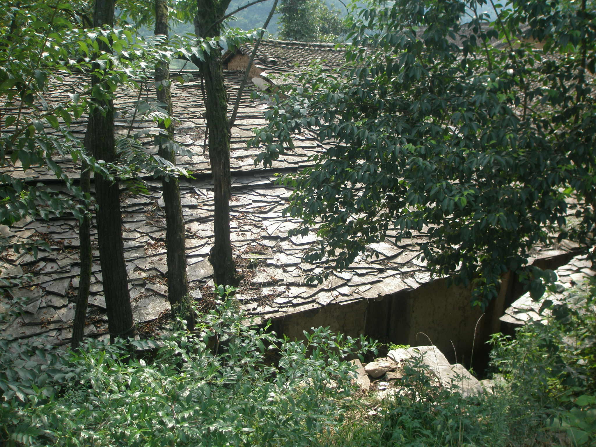 秦楚古道一日游攻略,秦楚古道自驾游攻略