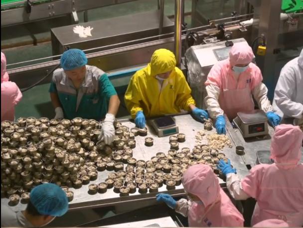 山东汉欧的狗粮怎么样,汉欧猫狗粮生产