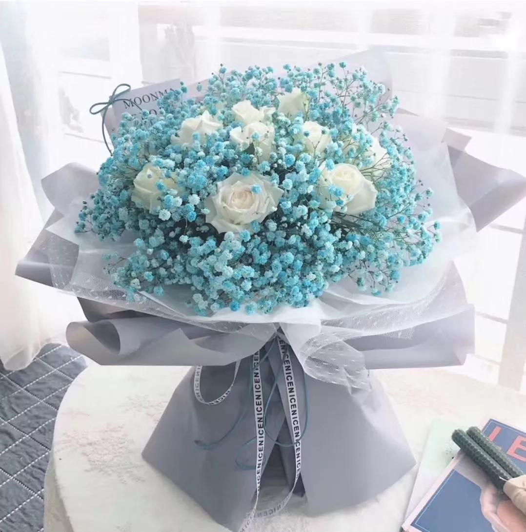 象征爱情的花和花语,什么花的花语是爱而不得的爱情