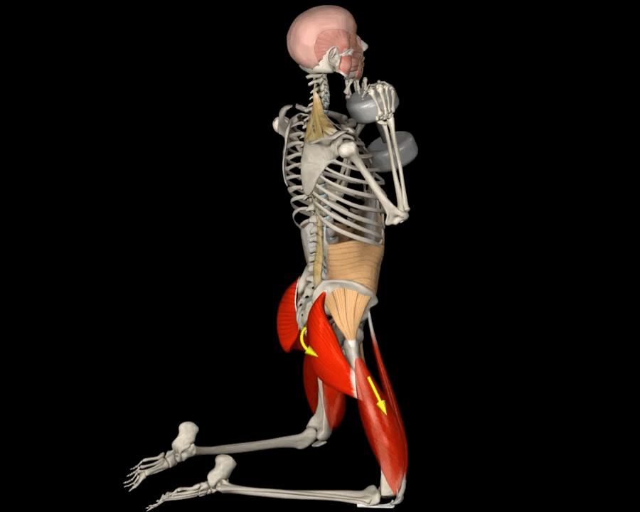 老年人蹲不下怎样锻炼,老年人蹲不下去了怎么办