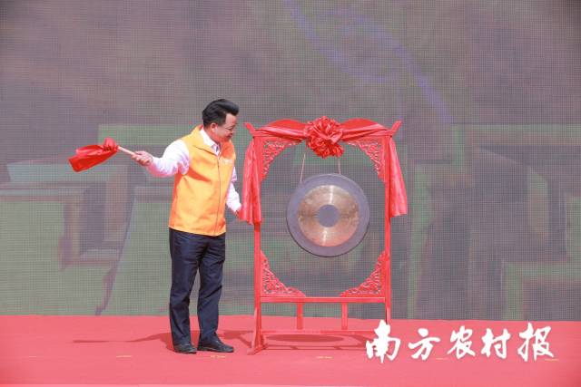 丰收节梅州,梅州丰收节高清图片