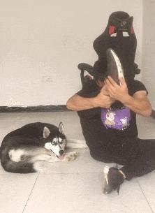 学会这招不愁找不到女朋友,学会这几招不怕找不到女朋友