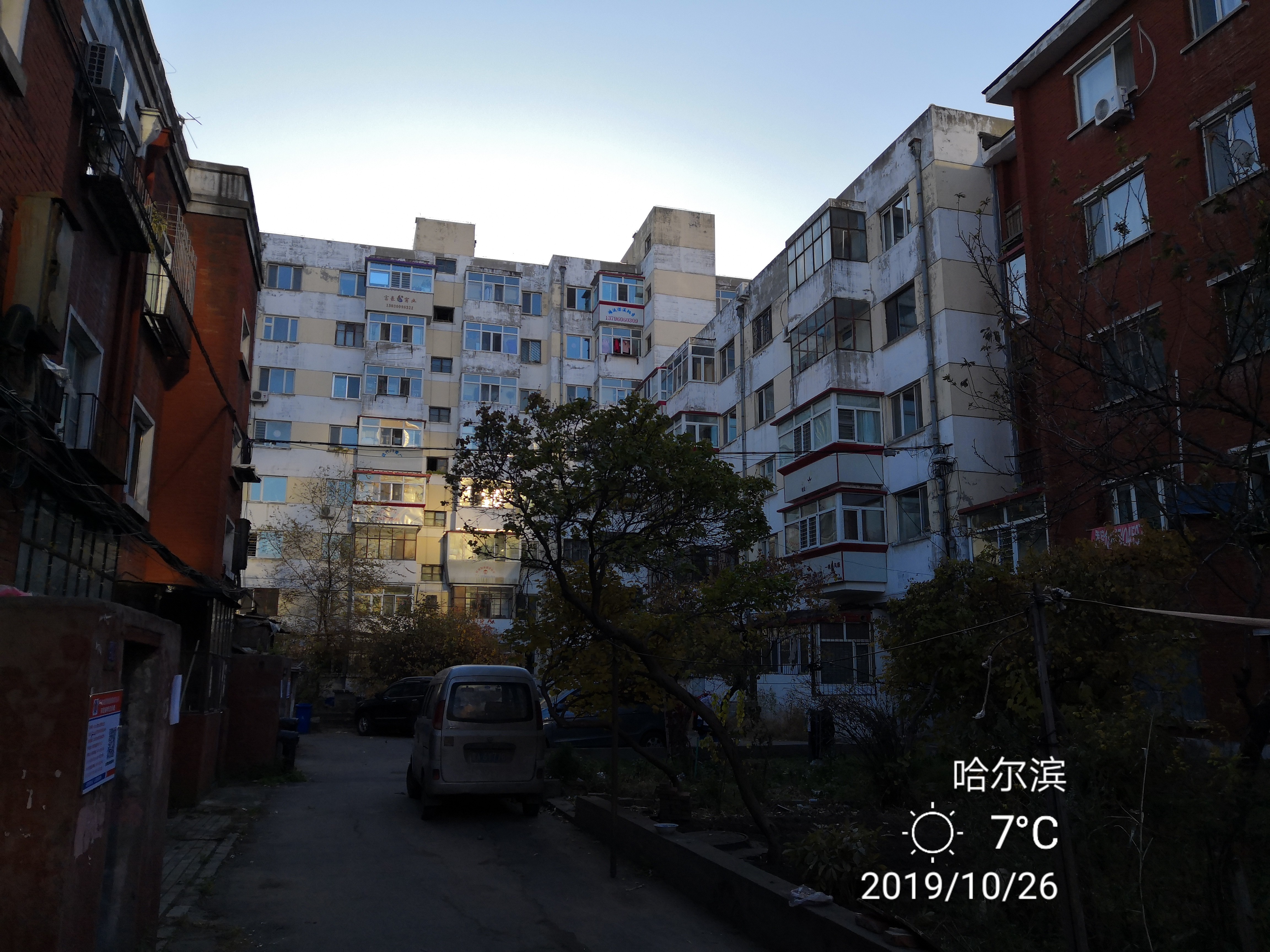 哈尔滨石化小区拆迁,哈尔滨石化小区有哪些