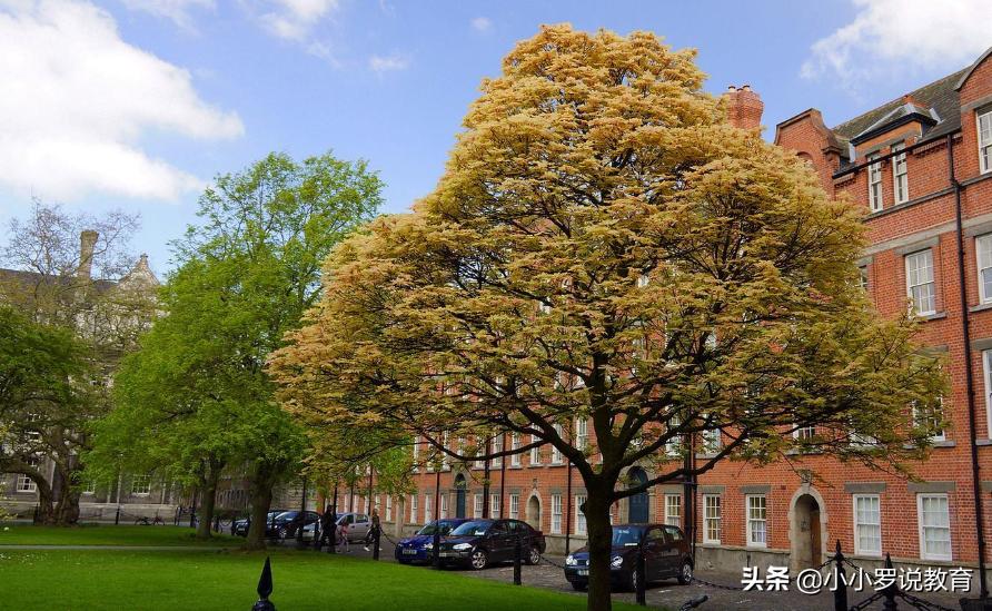 江西七所高校校名听起来高大上，实则是野鸡大学，全是为了骗学费