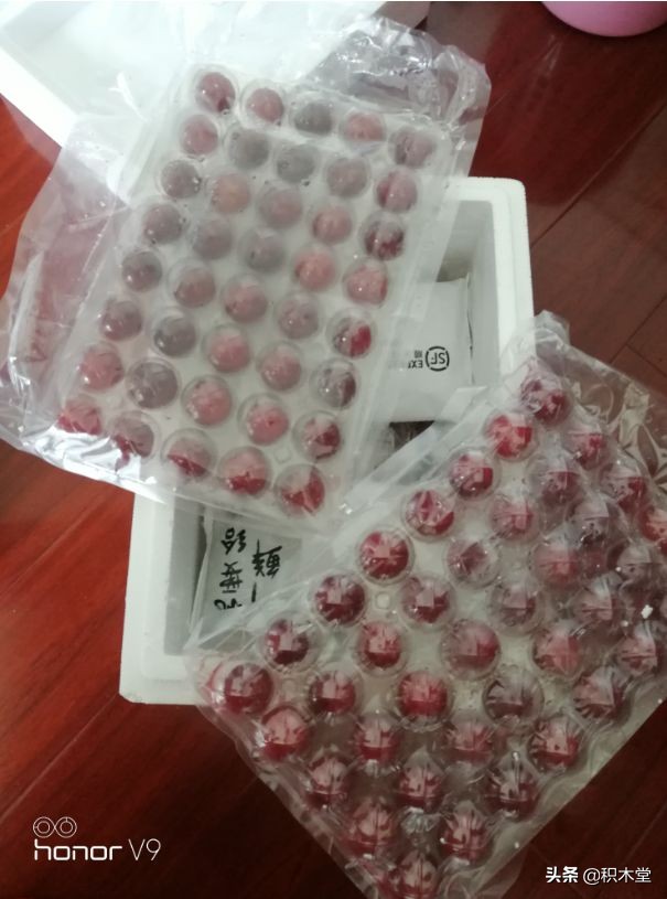 loz积木开箱测评,loz积木测评开箱