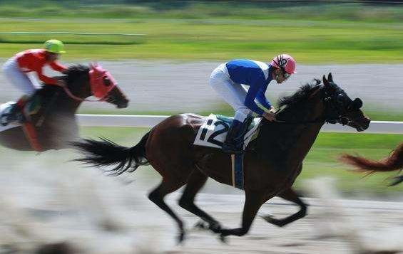 海南赛马业最新规划,2022年海南赛马发展规划