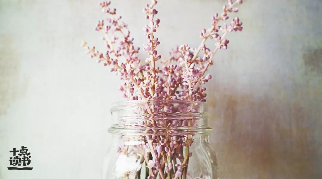 家静人安福气自来,家净心净人净福报自来