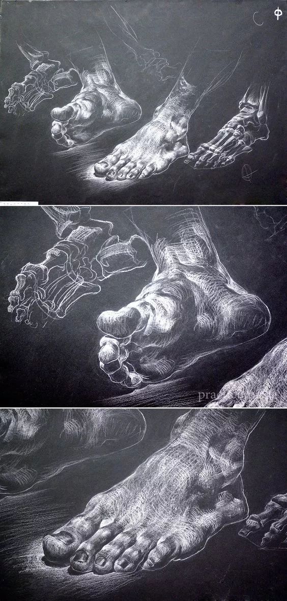 值得收藏的素描,今日分享基础素描干货