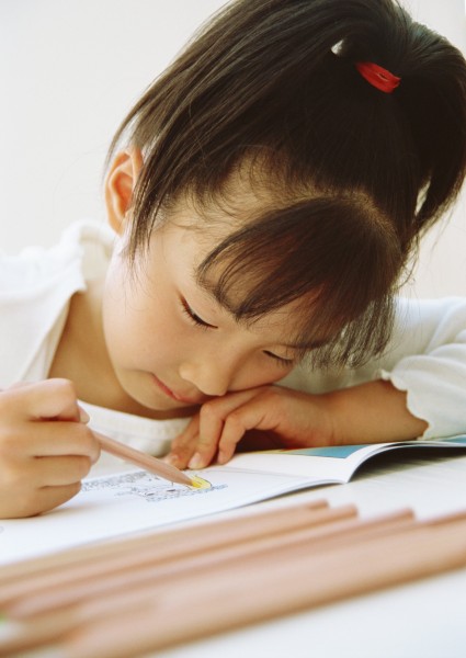 小朋友的教育经验分享,小学生如何和孩子共同学习