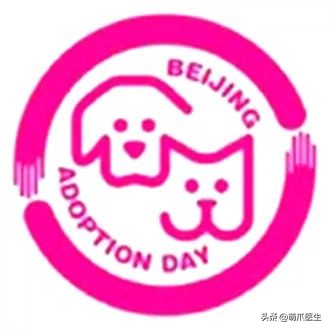 物业给小区流浪猫绝育视频,业主凑20万给流浪猫绝育