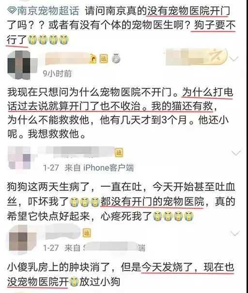 维语兽医在线问诊24小时免费,兽医羊病在线问诊24小时免费