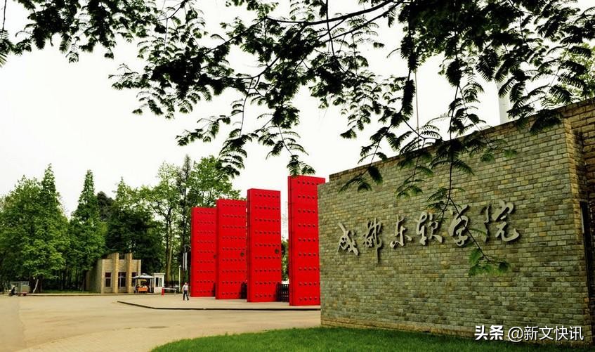 成都世警会赛事时间,2019年成都世警会