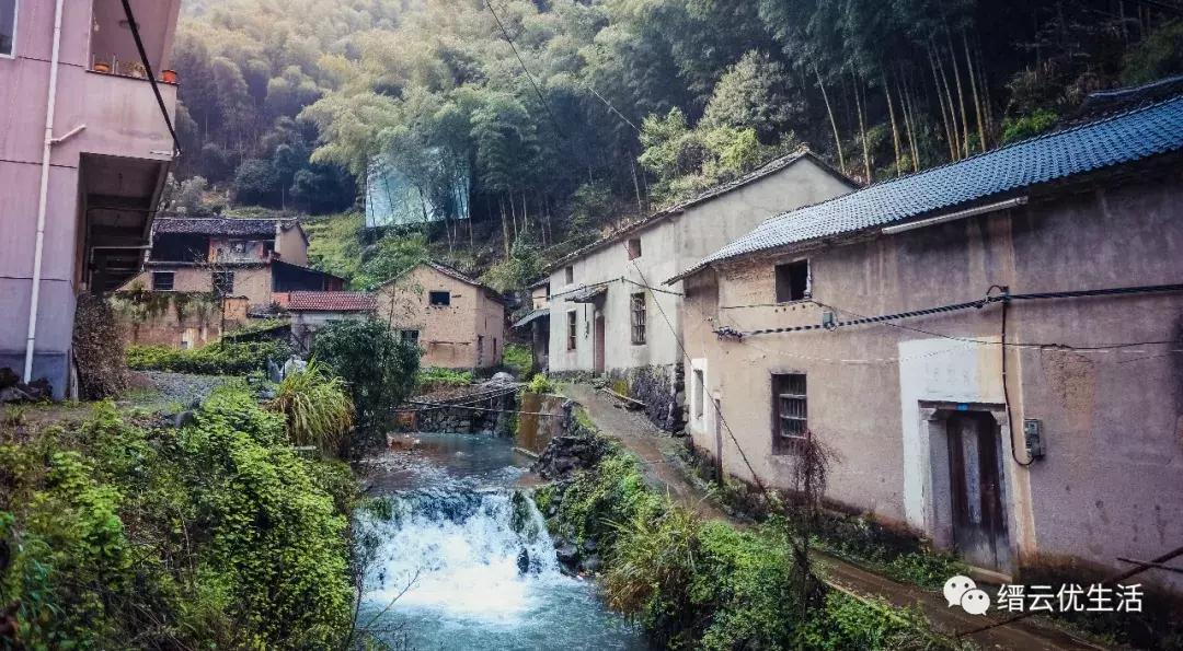 缙云鱼川村:助城隍、捐孔庙,100余年间居然还有40多位秀才~~~