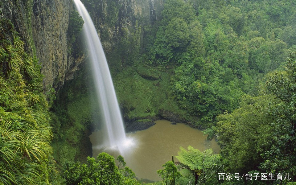 小便有泡沫要做什么检查,肾脏病小便泡沫多会发展尿毒症吗