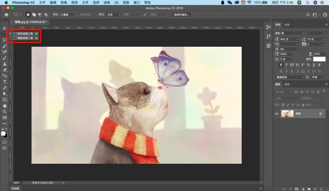 ps选区基础操作教程,ps基础教程新手快速建立选区