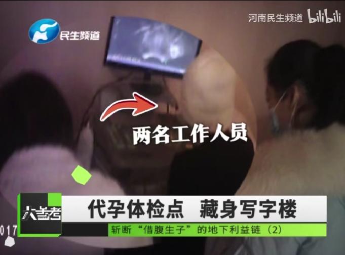 捐卵黑幕被曝光,捐卵骗局科普视频