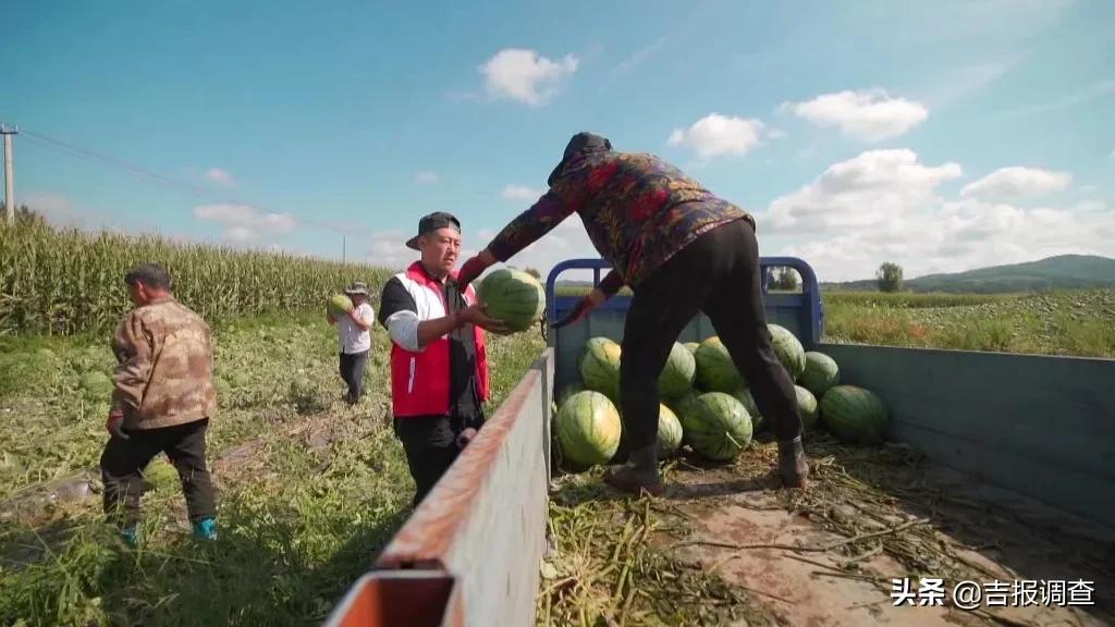 那丹伯镇西瓜,东丰县那丹伯镇十八道村