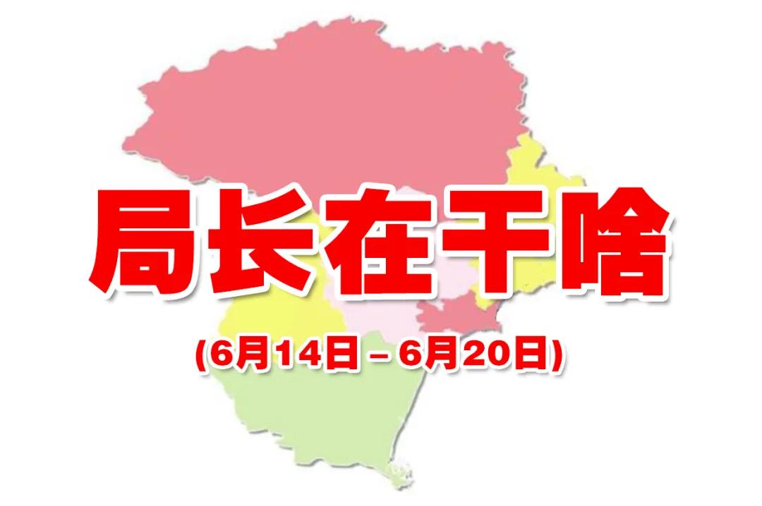 讲政治、勇担当、抓落实、促发展——局长在干啥