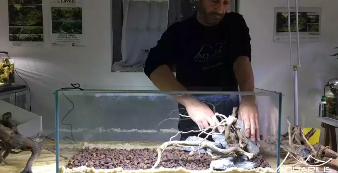 草缸造景教程：这个缸居然能装下一头“犀牛”？