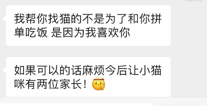 给我家猫新交了一个嘚瑟的朋友,我家猫送亲戚了准备再养一只猫