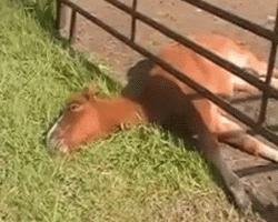 30种网赚骗术套路揭秘超深度干货,常见的20种网赚骗术揭秘