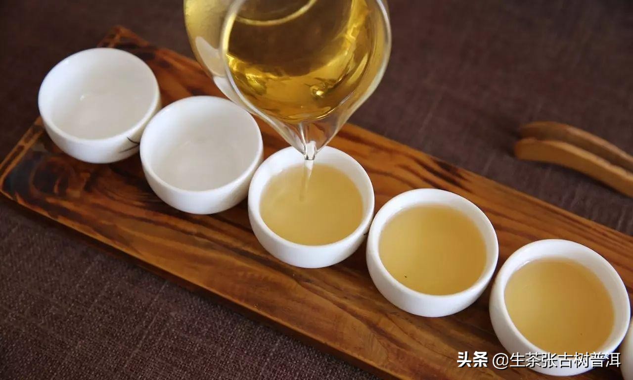 2020年古六大茶山莽枝乔木普洱茶,云南普洱茶各大茶山分布图