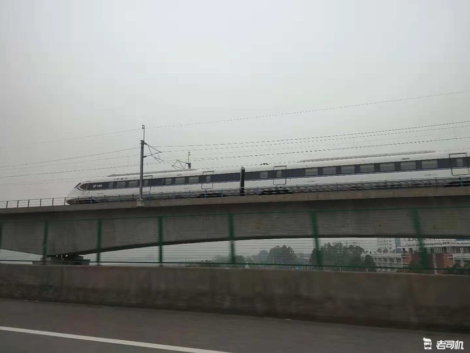 珠海长隆海洋王国攻略2天亲子游,珠海长隆海洋王国亲子游北极熊