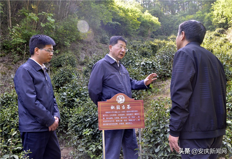 全面建成小康社会一个也不能掉队,全面小康一个不能少