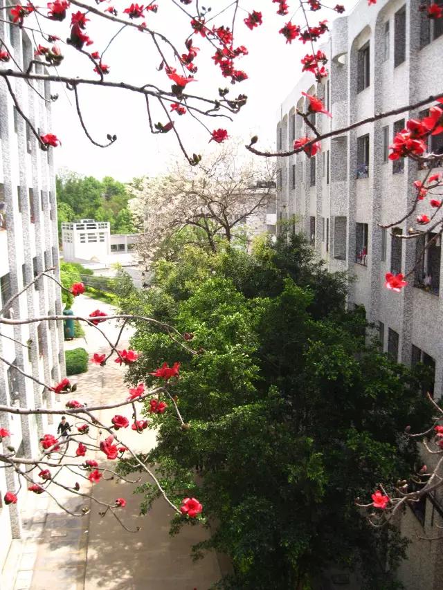 梅州最好的中学排名,梅州最美的学校