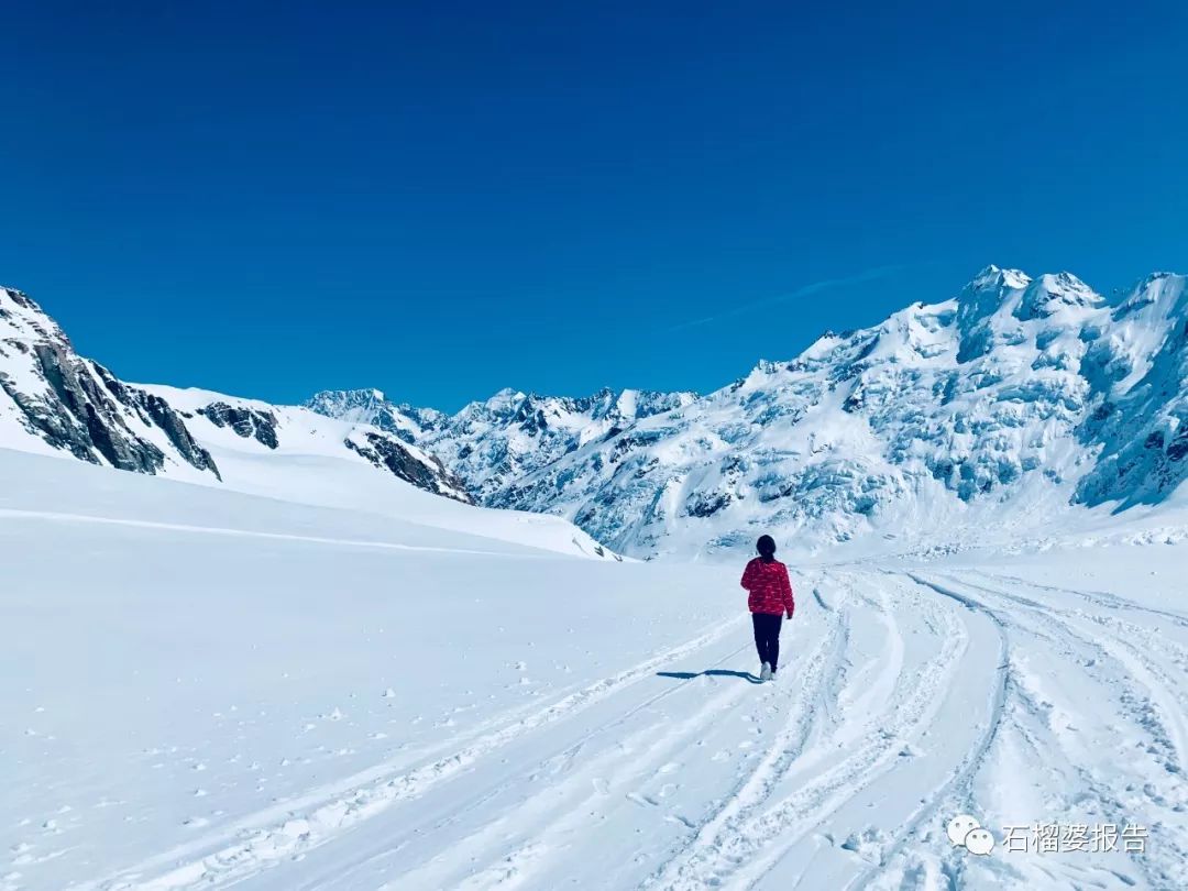旅行7天,新西兰霍比特人村游记