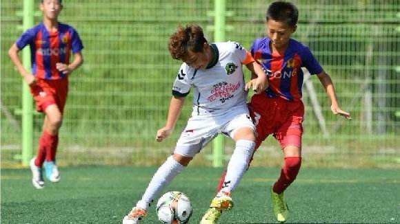 学生踢足球有好处吗,小学生踢足球有好处还是坏处