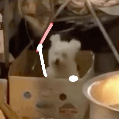 坚持做这些事让你有巨大变化,坚持做这几件事拉开同龄人差距