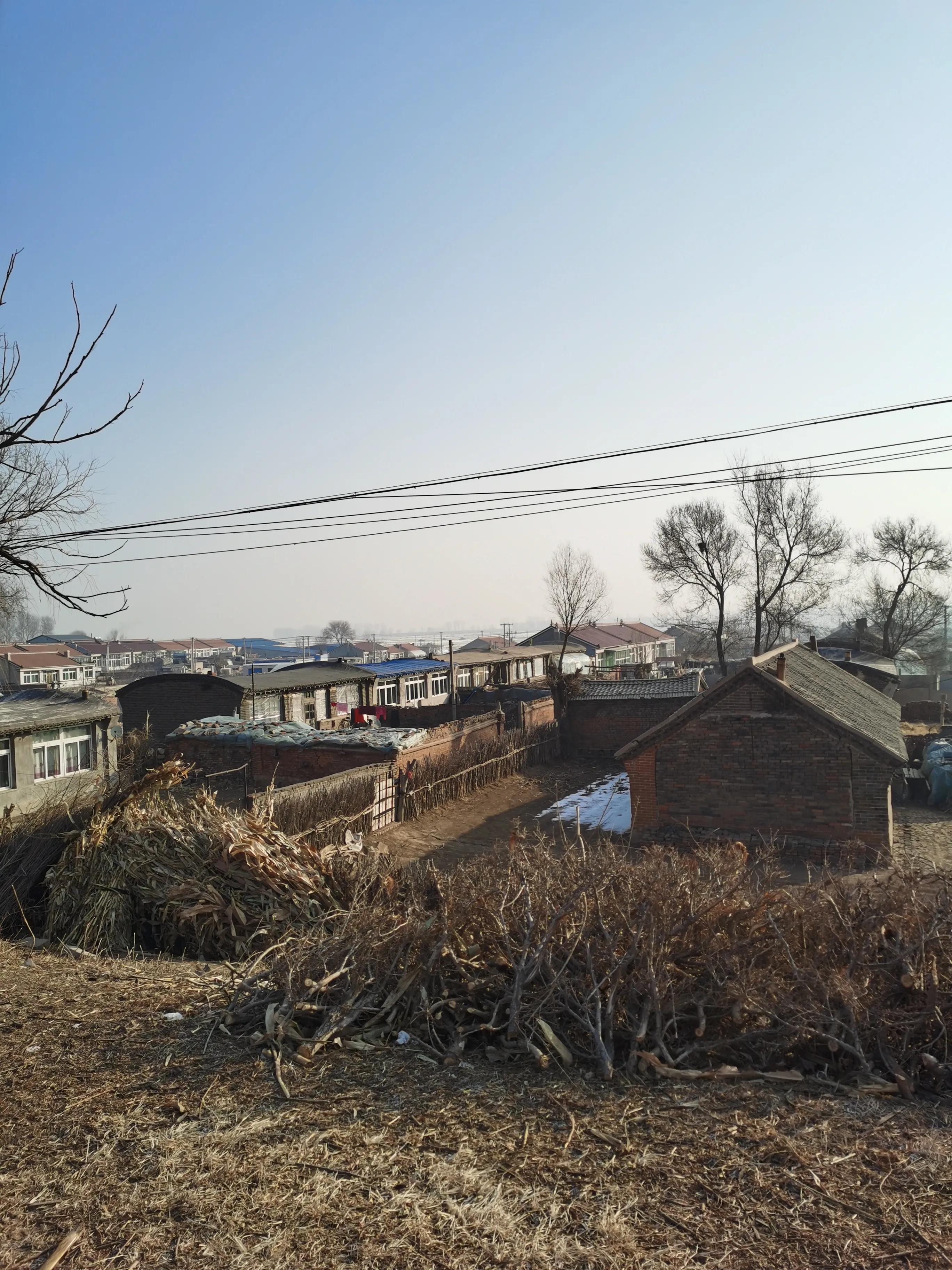 我决定我不再庸人自扰了经典语录,我决定不再前行的歌词