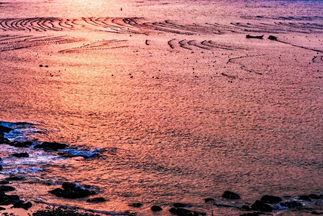 去大连海边玩一趟要多少钱,去海滨城玩有什么攻略