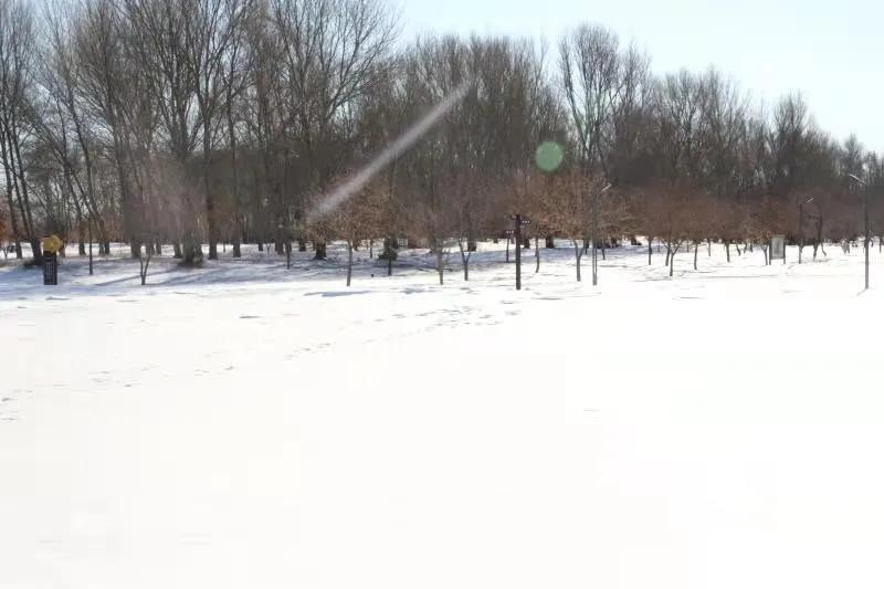 冬已至春来到,冬天去通辽草原