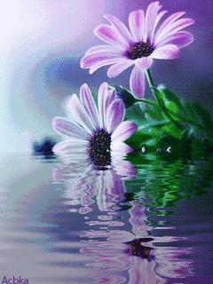 老年三字经经典语录,最新老年三字经全文