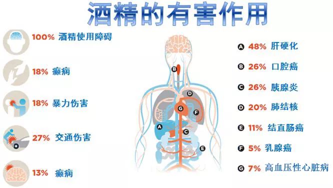 解酒饮料前景如何,国药乐仁堂解酒饮料真的能解酒吗