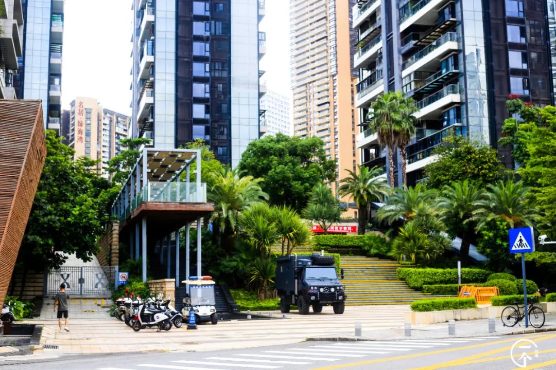 测评深圳湾,我直接被房租劝退