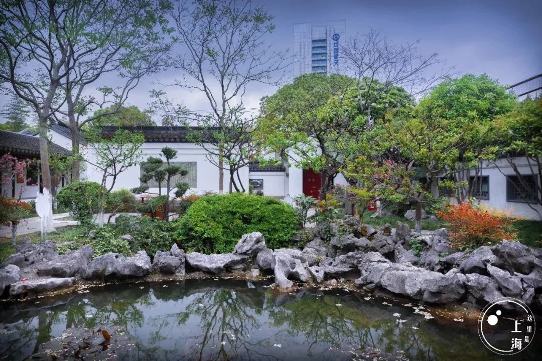 生日当天上海免费景点,上海网红打卡地点景点免费