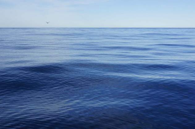 太平洋是谁,太平洋谁发现的